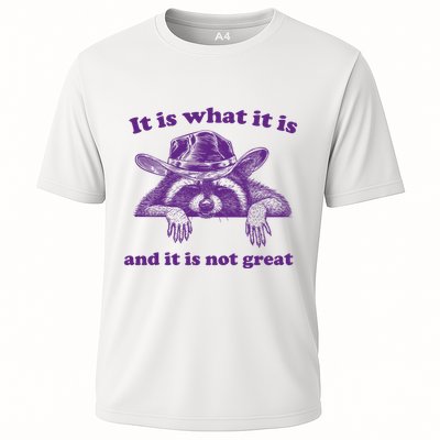 It Is What It Is And It Is Not Great Racoon Meme Performance Shirt