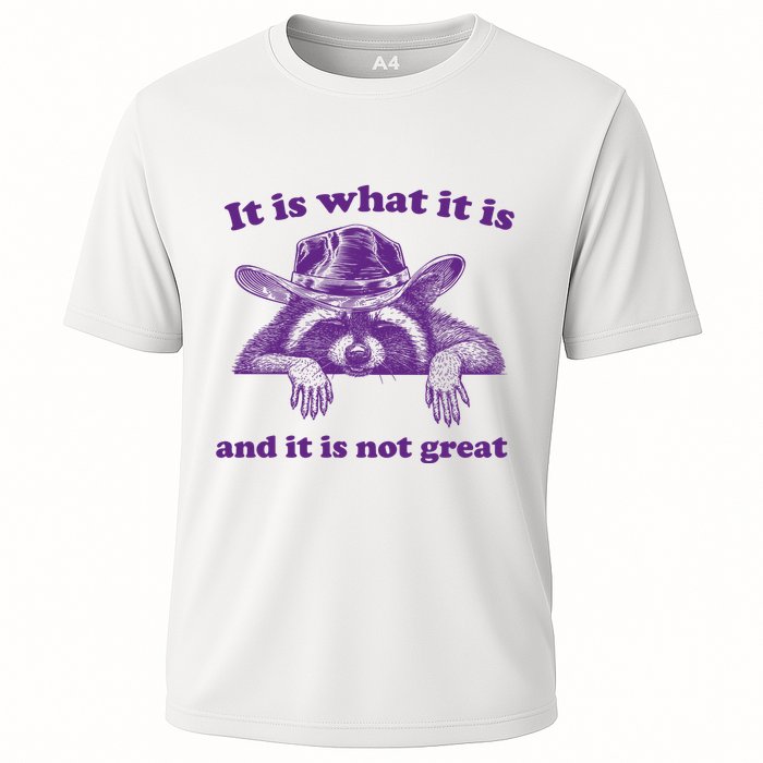 It Is What It Is And It Is Not Great Racoon Meme Performance Shirt
