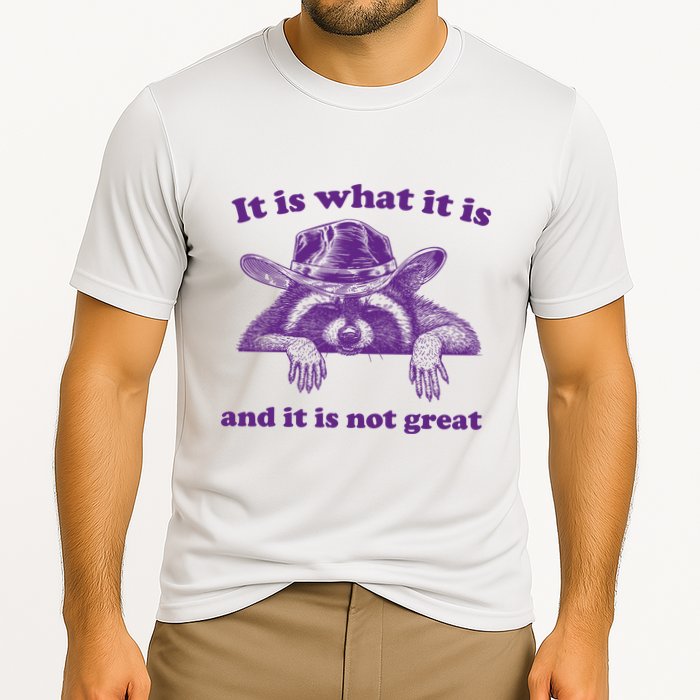 It Is What It Is And It Is Not Great Racoon Meme Performance Shirt