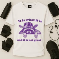 It Is What It Is And It Is Not Great Racoon Meme Performance Shirt