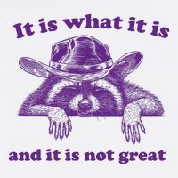 It Is What It Is And It Is Not Great Racoon Meme Performance Shirt