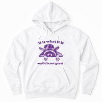It Is What It Is And It Is Not Great Racoon Meme Hoodie