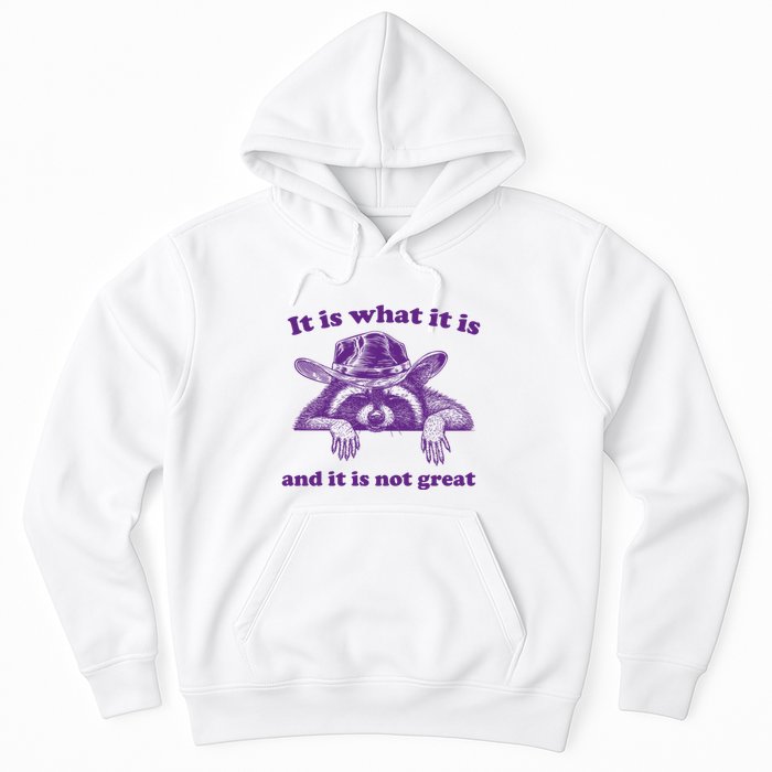It Is What It Is And It Is Not Great Racoon Meme Hoodie