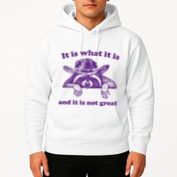 It Is What It Is And It Is Not Great Racoon Meme Hoodie