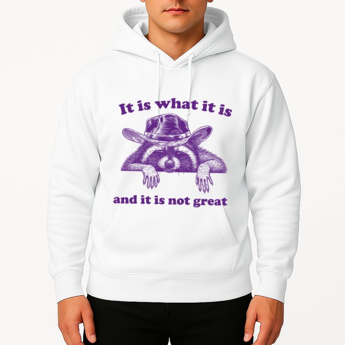 It Is What It Is And It Is Not Great Racoon Meme Hoodie