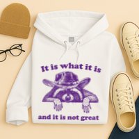 It Is What It Is And It Is Not Great Racoon Meme Hoodie