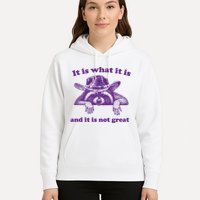 It Is What It Is And It Is Not Great Racoon Meme Hoodie