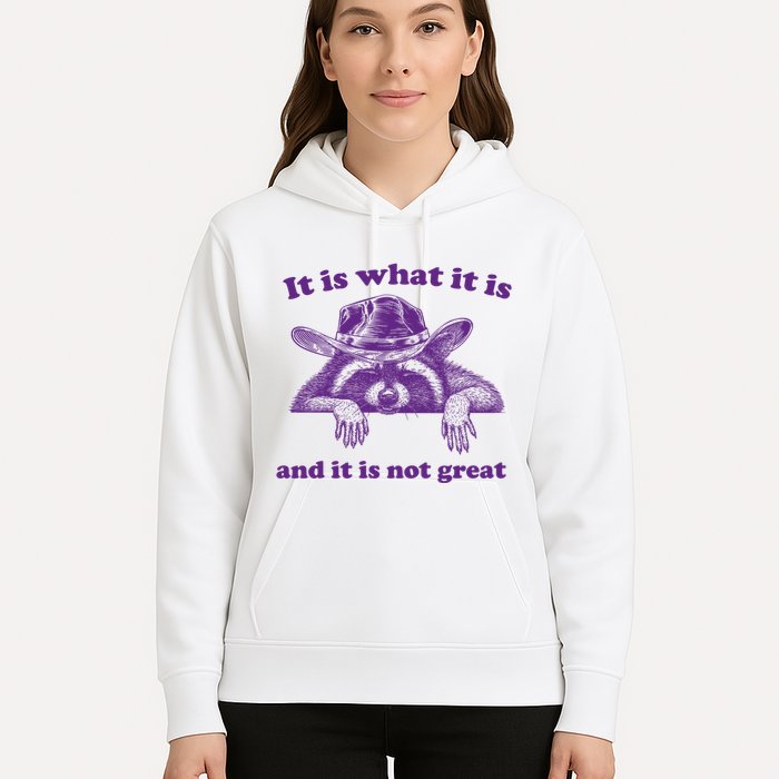 It Is What It Is And It Is Not Great Racoon Meme Hoodie