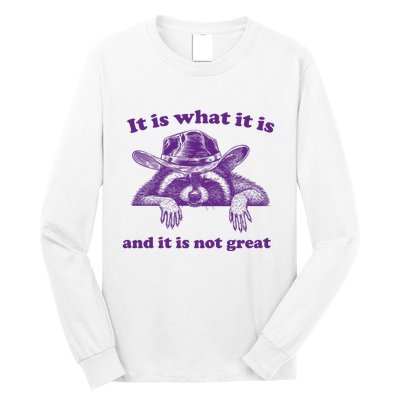 It Is What It Is And It Is Not Great Racoon Meme Long Sleeve Shirt