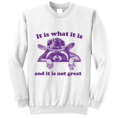 It Is What It Is And It Is Not Great Racoon Meme Sweatshirt