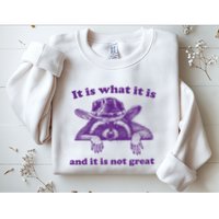 It Is What It Is And It Is Not Great Racoon Meme Sweatshirt