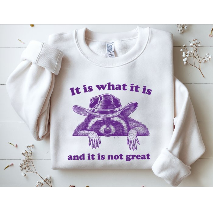 It Is What It Is And It Is Not Great Racoon Meme Sweatshirt