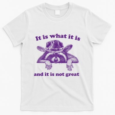 It Is What It Is And It Is Not Great Racoon Meme T-Shirt