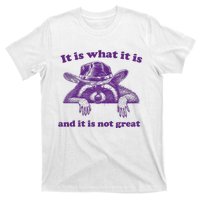 It Is What It Is And It Is Not Great Racoon Meme T-Shirt