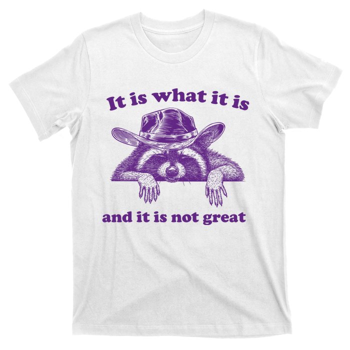 It Is What It Is And It Is Not Great Racoon Meme T-Shirt