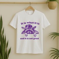It Is What It Is And It Is Not Great Racoon Meme T-Shirt