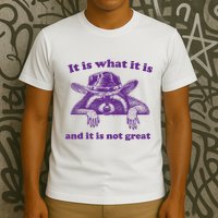 It Is What It Is And It Is Not Great Racoon Meme T-Shirt