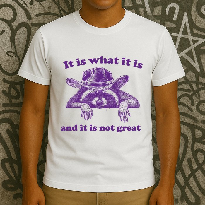 It Is What It Is And It Is Not Great Racoon Meme T-Shirt