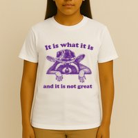 It Is What It Is And It Is Not Great Racoon Meme T-Shirt