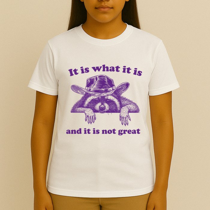 It Is What It Is And It Is Not Great Racoon Meme T-Shirt