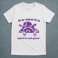 It Is What It Is And It Is Not Great Racoon Meme T-Shirt