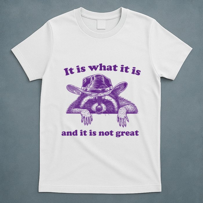 It Is What It Is And It Is Not Great Racoon Meme T-Shirt