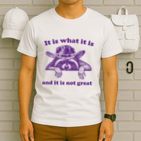 It Is What It Is And It Is Not Great Racoon Meme T-Shirt