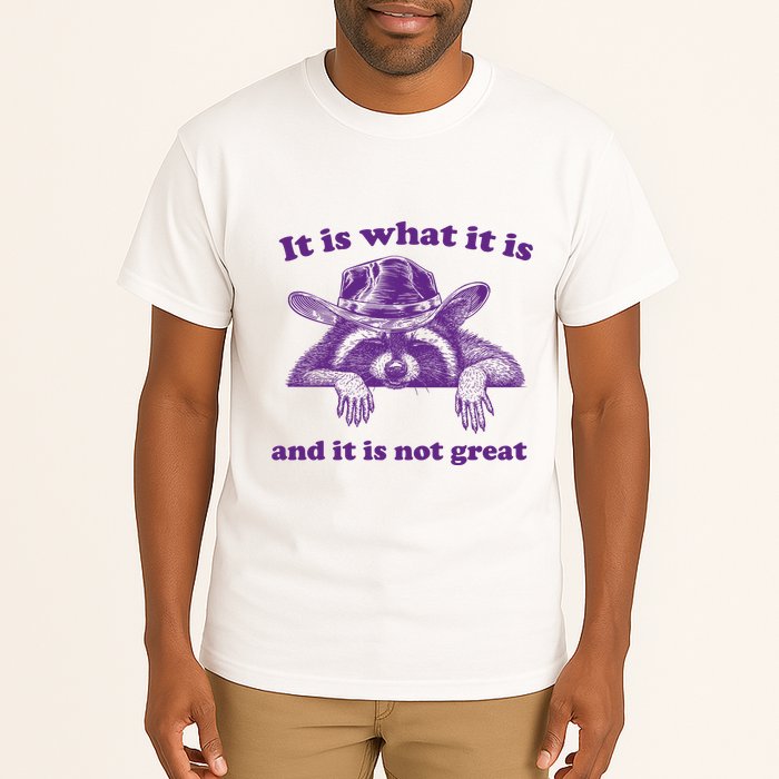 It Is What It Is And It Is Not Great Racoon Meme Tall T-Shirt