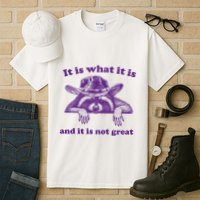 It Is What It Is And It Is Not Great Racoon Meme Tall T-Shirt