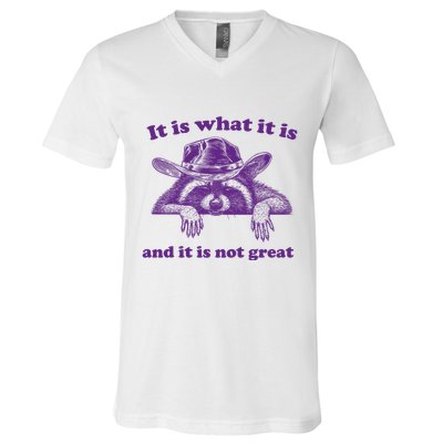It Is What It Is And It Is Not Great Racoon Meme V-Neck T-Shirt
