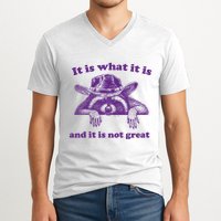 It Is What It Is And It Is Not Great Racoon Meme V-Neck T-Shirt