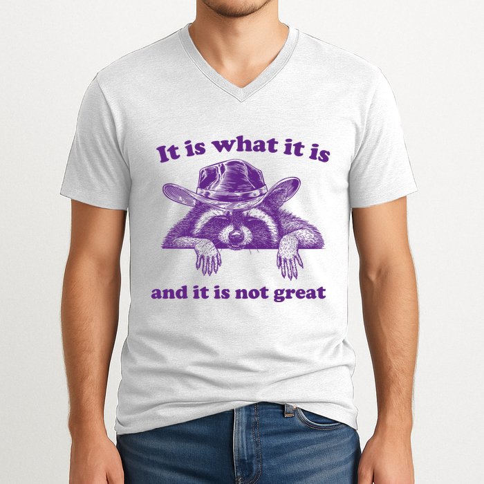 It Is What It Is And It Is Not Great Racoon Meme V-Neck T-Shirt
