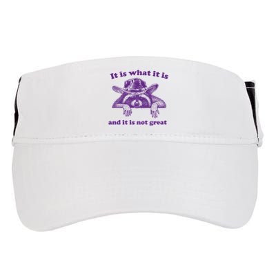 It Is What It Is And It Is Not Great Racoon Meme Adult Drive Performance Visor