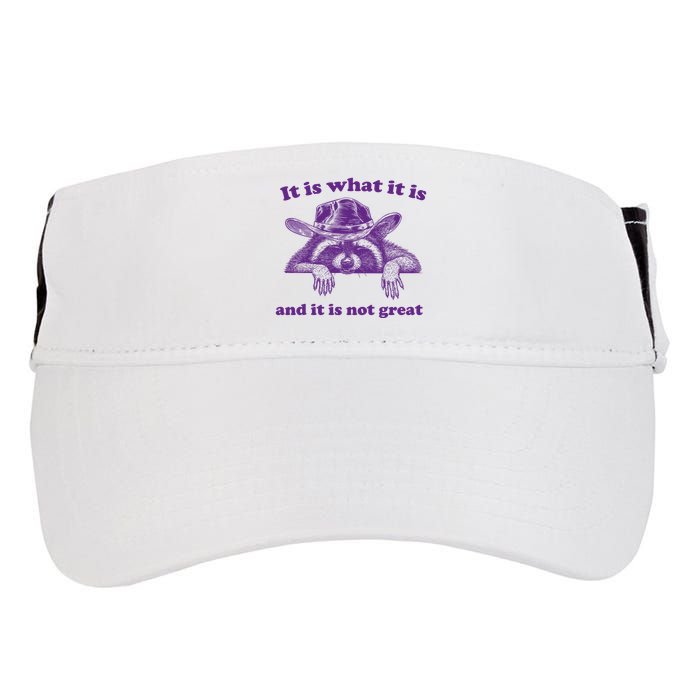 It Is What It Is And It Is Not Great Racoon Meme Adult Drive Performance Visor