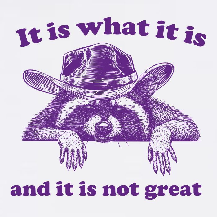 It Is What It Is And It Is Not Great Racoon Meme Bucket Hat