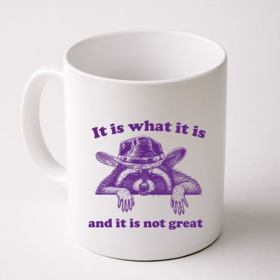 It Is What It Is And It Is Not Great Racoon Meme Mug