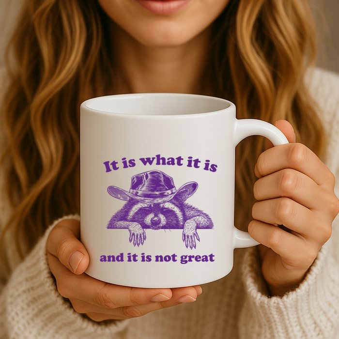 It Is What It Is And It Is Not Great Racoon Meme Mug