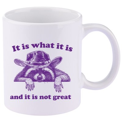 It Is What It Is And It Is Not Great Racoon Meme 11oz C Handle Ceramic Mug