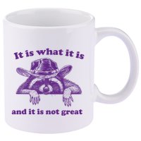 It Is What It Is And It Is Not Great Racoon Meme 11oz C Handle Ceramic Mug