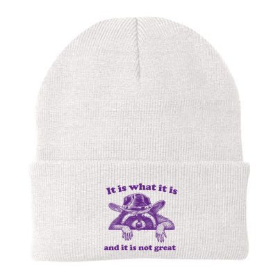 It Is What It Is And It Is Not Great Racoon Meme Beanie