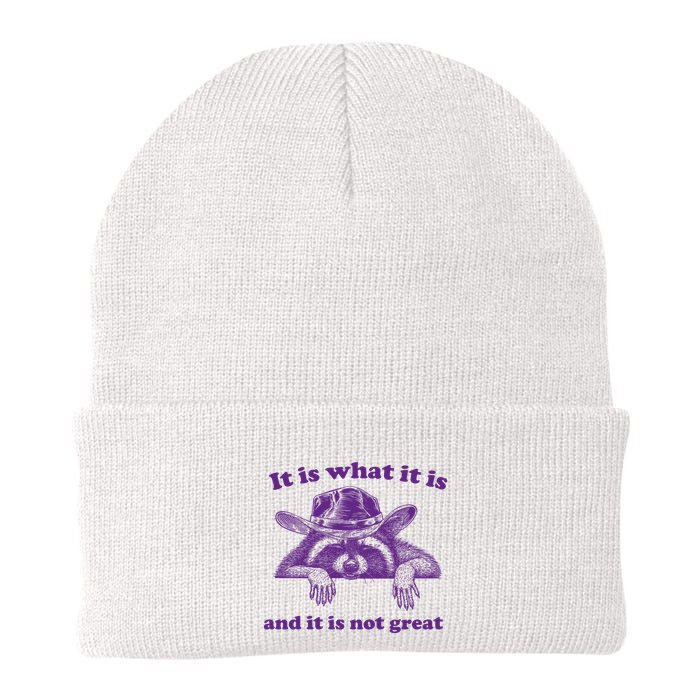 It Is What It Is And It Is Not Great Racoon Meme Beanie