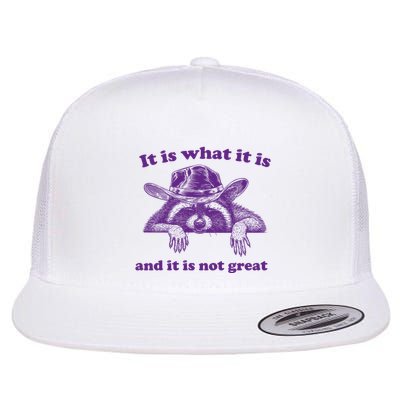 It Is What It Is And It Is Not Great Racoon Meme Flatbill Hat