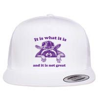 It Is What It Is And It Is Not Great Racoon Meme Flatbill Hat