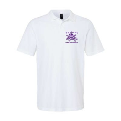It Is What It Is And It Is Not Great Racoon Meme Polo
