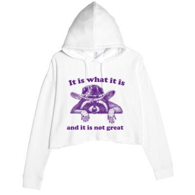 It Is What It Is And It Is Not Great Racoon Meme Crop Fleece Hoodie