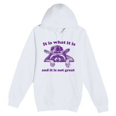 It Is What It Is And It Is Not Great Racoon Meme Premium Pullover Hoodie