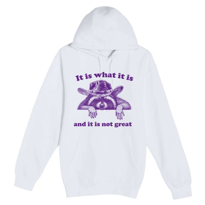 It Is What It Is And It Is Not Great Racoon Meme Premium Pullover Hoodie