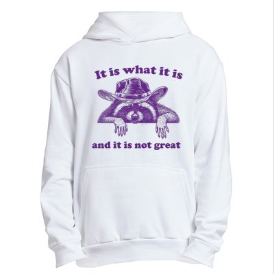 It Is What It Is And It Is Not Great Racoon Meme Urban Pullover Hoodie