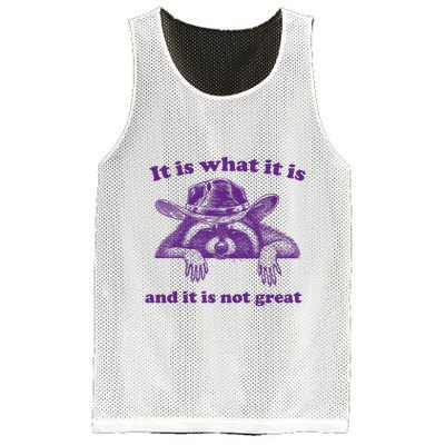 It Is What It Is And It Is Not Great Racoon Meme Mesh Reversible Basketball Jersey Tank