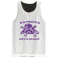 It Is What It Is And It Is Not Great Racoon Meme Mesh Reversible Basketball Jersey Tank